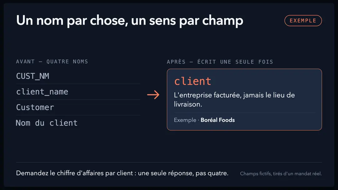 Le même champ client sous cinq noms différents à gauche, et à droite un dictionnaire écrit qui donne à chaque champ un sens et un exemple.